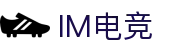 IM(股份有限公司)电竞-电子竞技平台